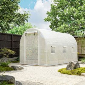 Greenhouse, suitable for planting fruits, vegetables, and flowers, white