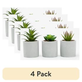 (4 pack) 3-Piece Succulent Set in Gray Cement Planters