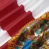 3X5FT FL State Flag