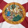 3X5FT FL State Flag