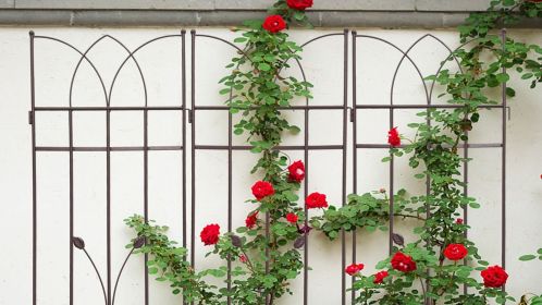 4 Pack Metal Garden Trellis 71" x 17.7" Rustproof Trellis for Climbing Plants Outdoor Flower Support (Color: BROWN)